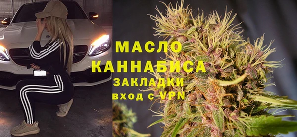гидра Сясьстрой