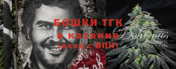 гидра Сясьстрой