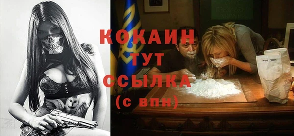 гидра Сясьстрой