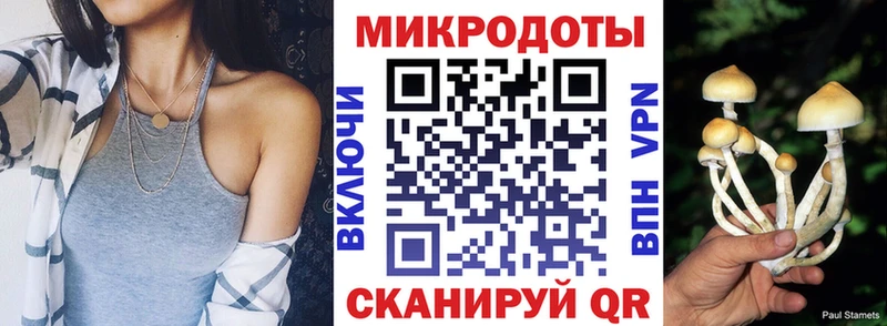 Псилоцибиновые грибы MAGIC MUSHROOMS  Купить закладки  Канаш 